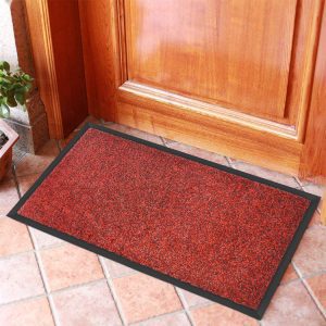 Indoor Carpet Outdoor Mat