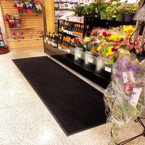 Indoor Carpet Outdoor Mat