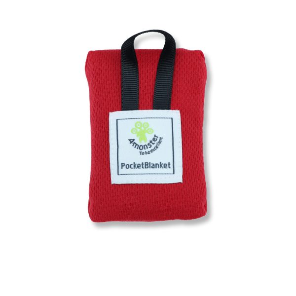 Multifunctional lightweight ultra-thin pocket moisture-proof picnic mat