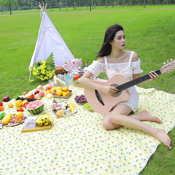 Ins style moisture-proof picnic PVC picnic mat